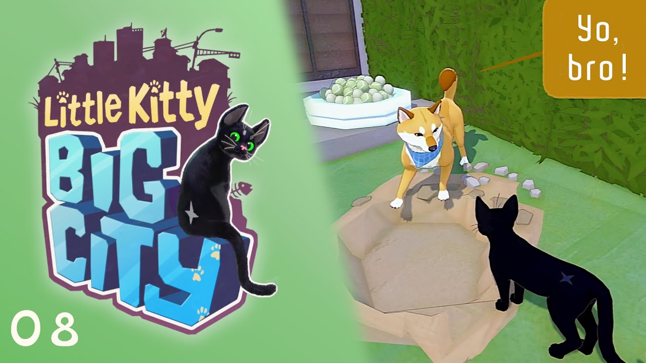 Little Kitty, Big City - 08 - Große Kartoffel und kleine Kartoffel