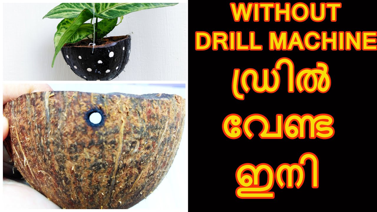 How to make holes on coconut shell without driller/DIY Coconut planter/coconut shell hanging planter