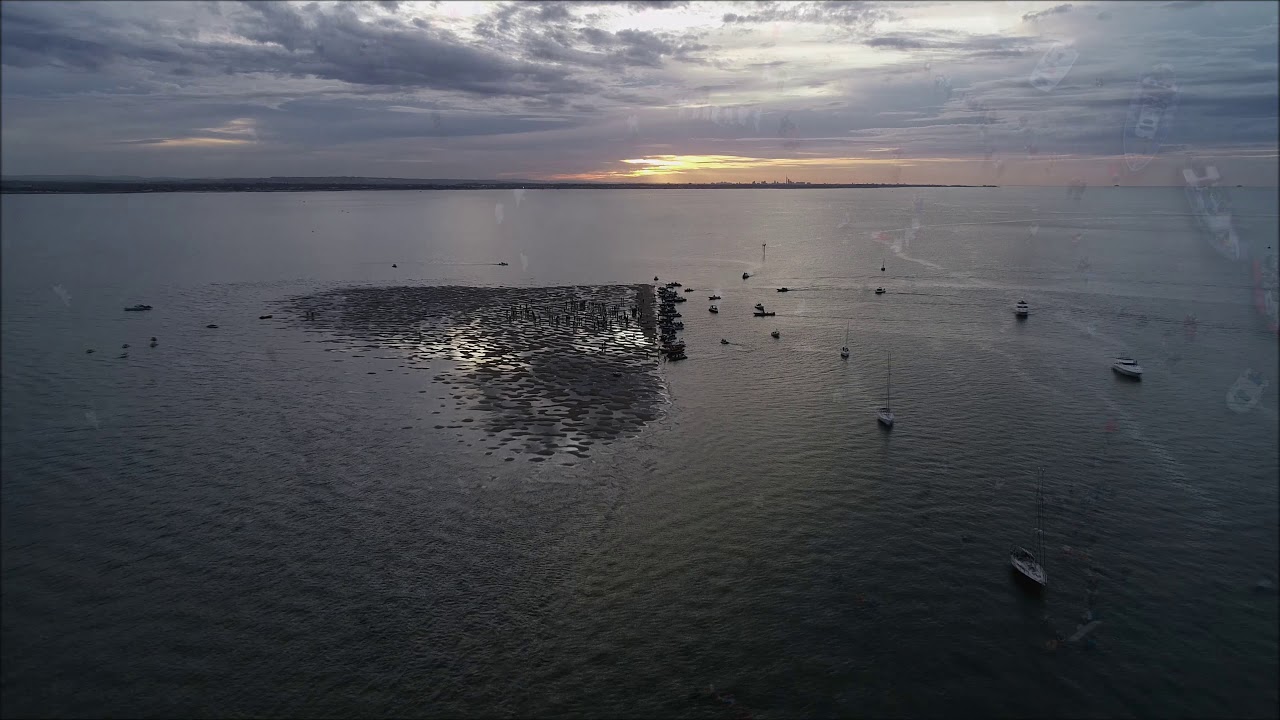 Annual Bramble Bank Cricket Match - The Solent
