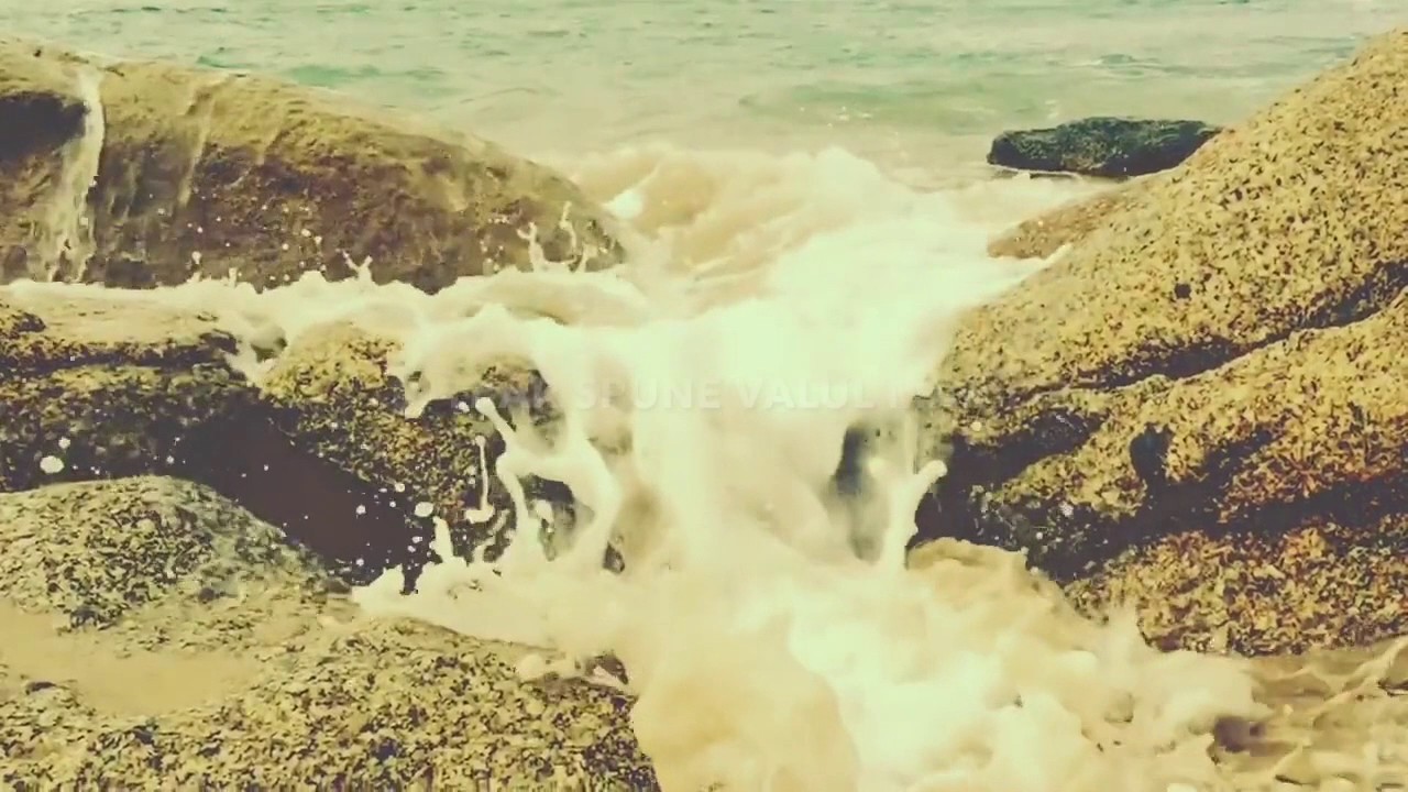 Ruben Andruș - Dacă două m&acirc;ini rebele (Lyrics Video)