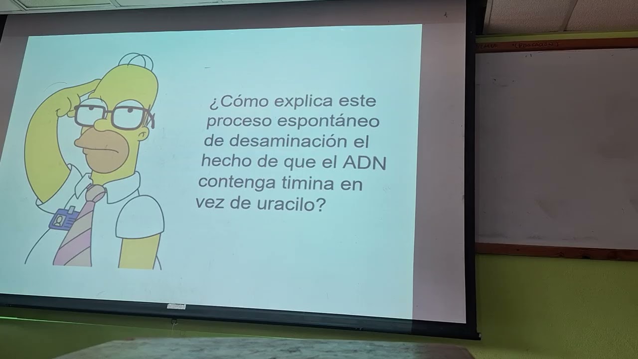 BM | Mutaciones | viernes 06-03-26