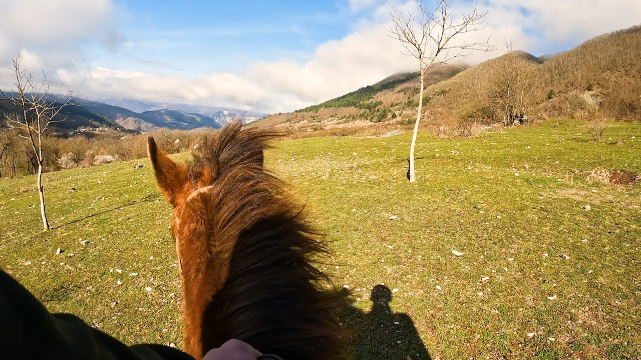 Horseback Riding - Oddly Satisfying Sounds