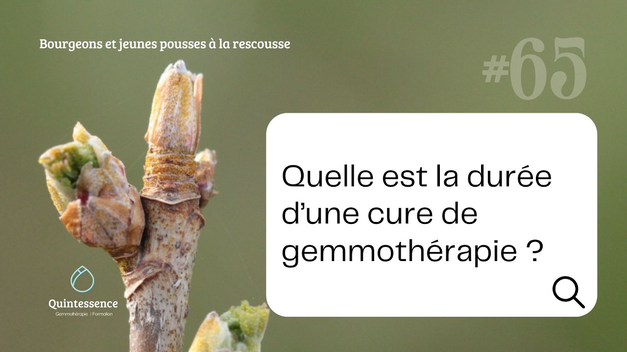 #65 Quelle est la durée d'une cure de gemmothérapie ?