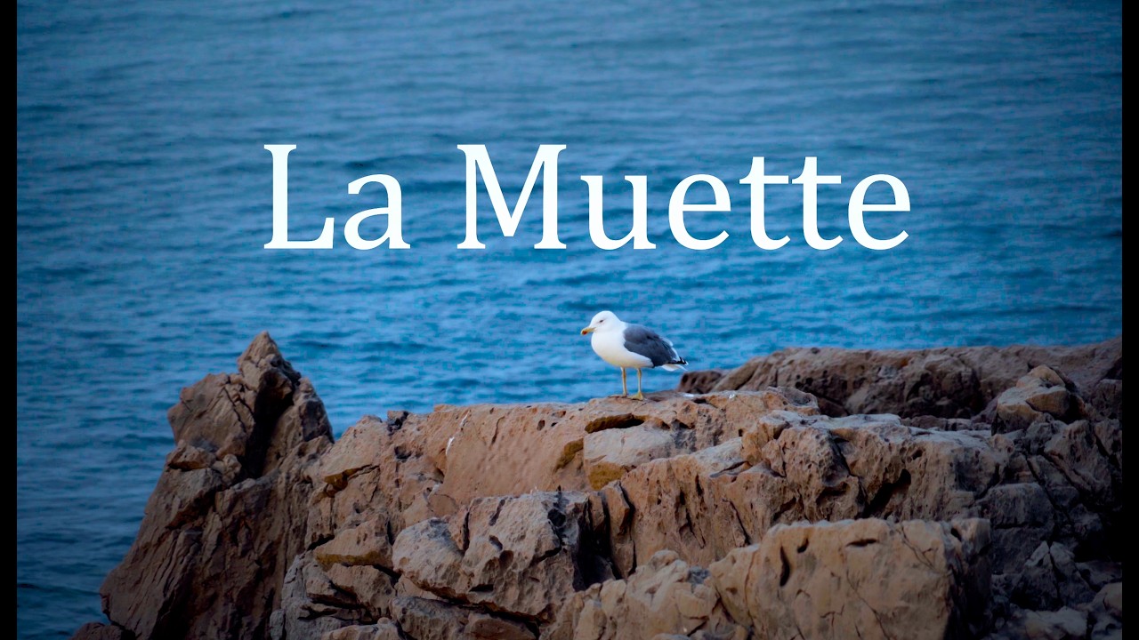 La Muette
