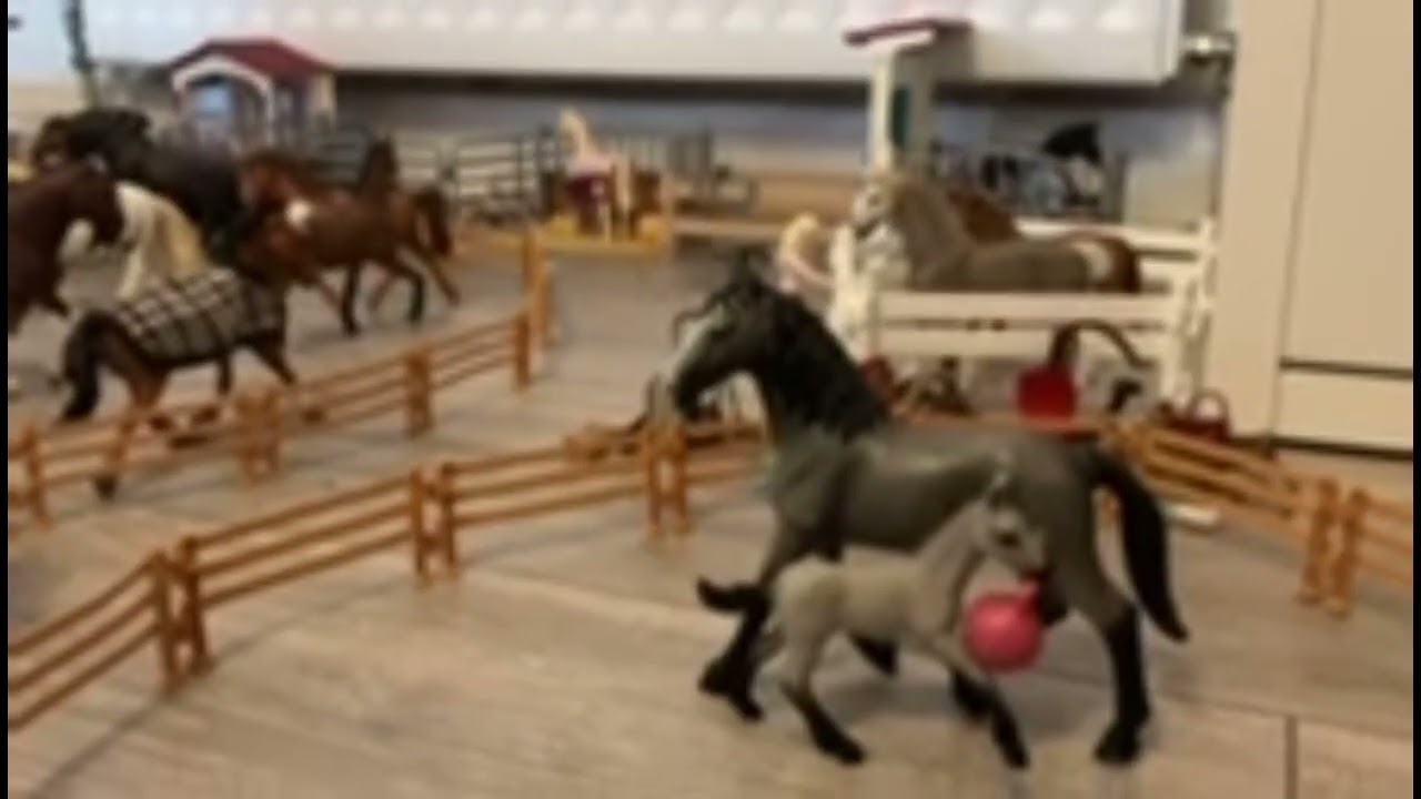 Let’s See what my Horses will do 