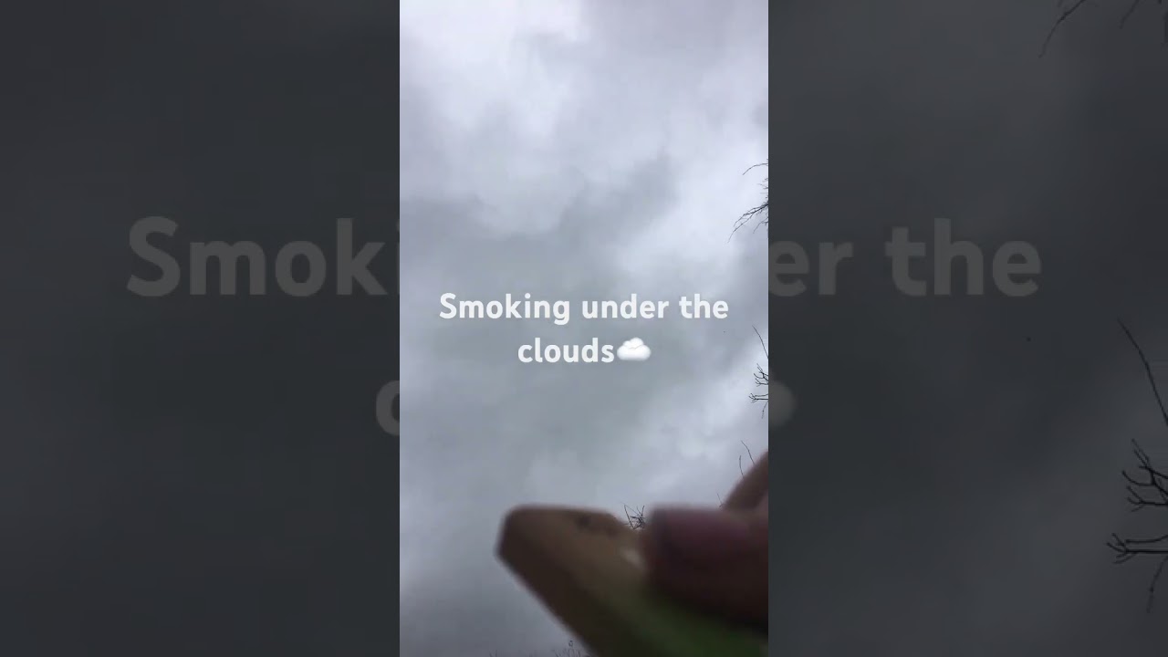Smoking in nature!!#blinker #vape