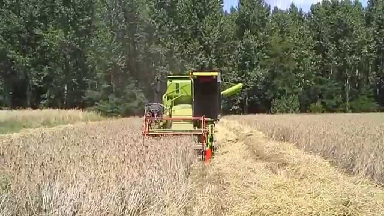 Claas Columbus tritik&aacute;l&eacute; arat&aacute;s 2014