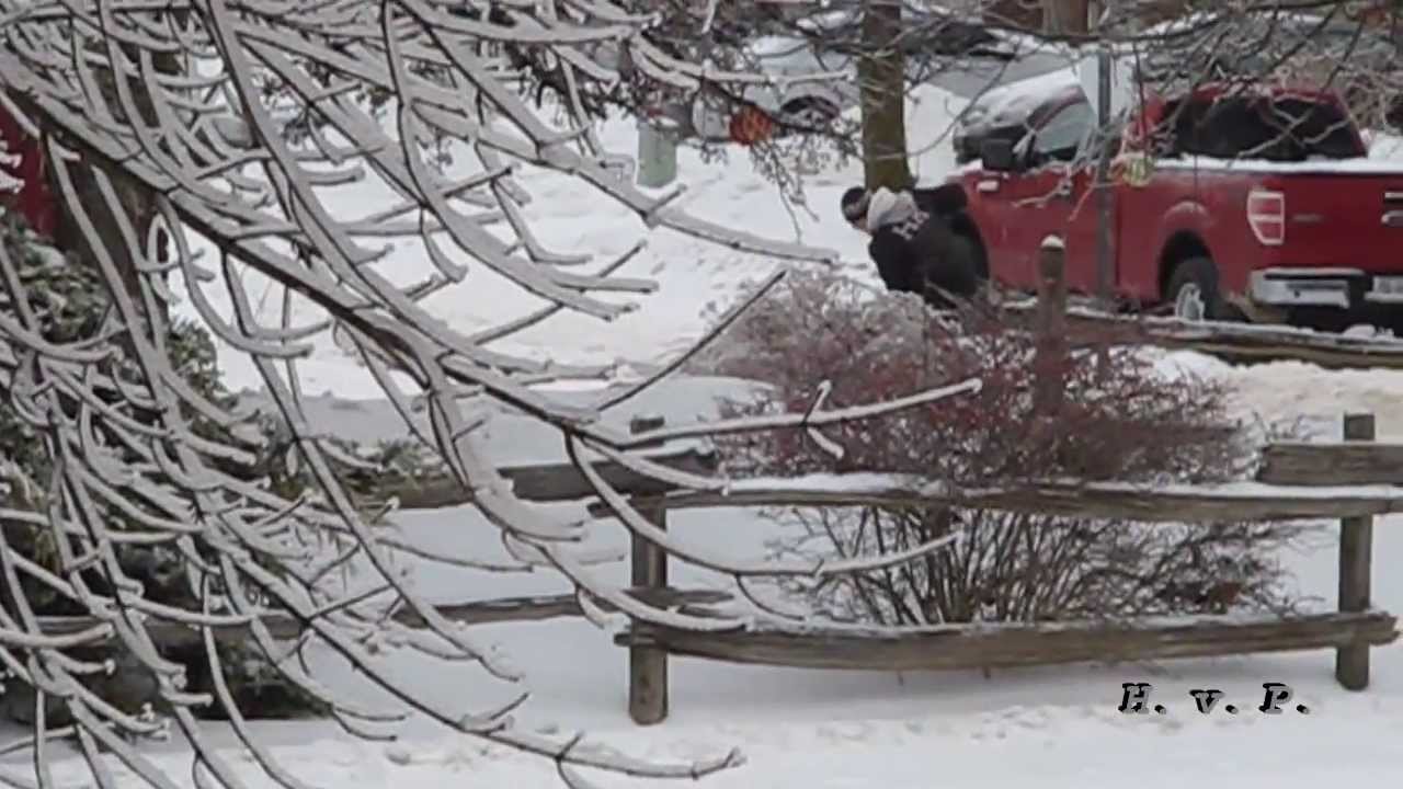 Things you might see in - Bradford West Gwillimbury Ontario - Freezing Rain by HvP