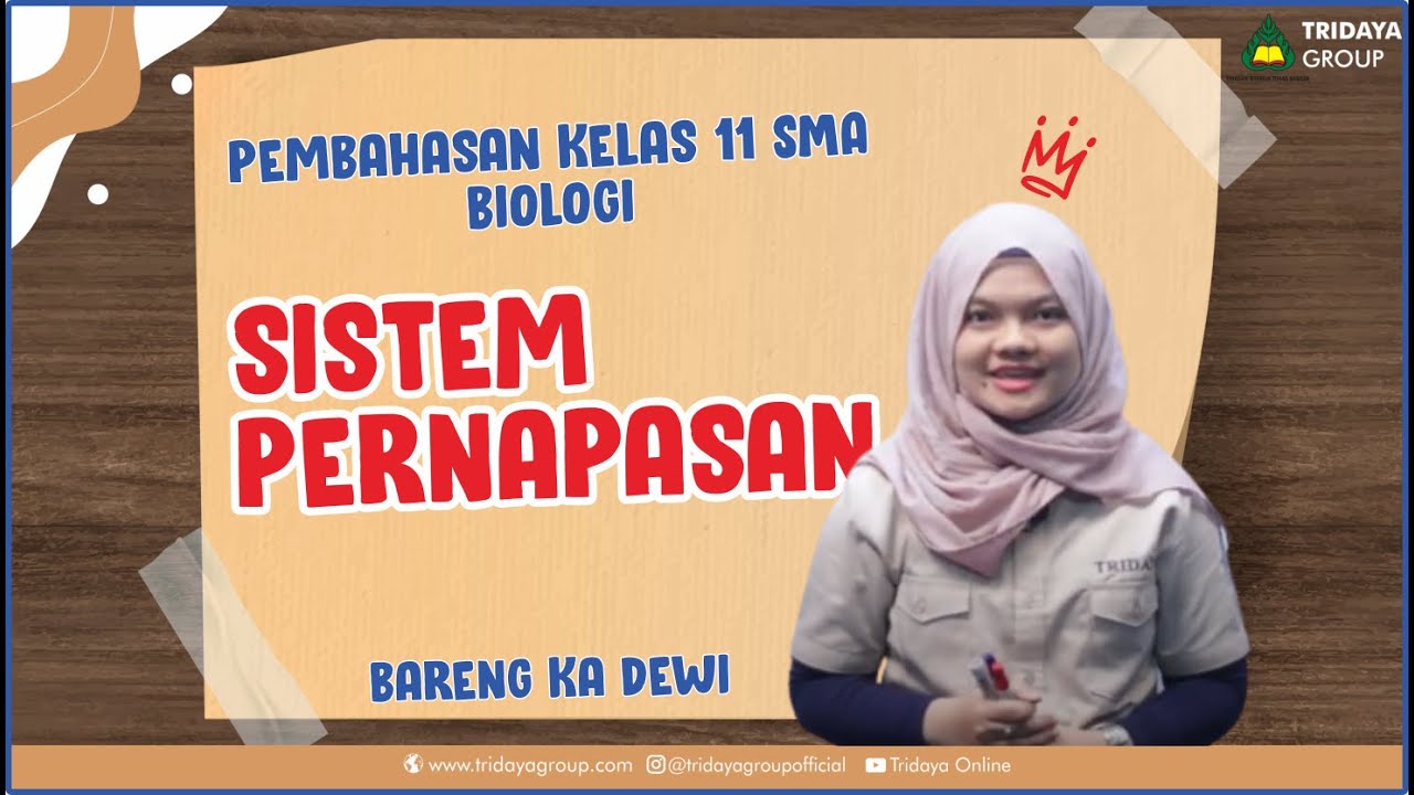 Kelas 11 SMA - Biologi - Sistem Pernapasan - Bimbel Tridaya Online