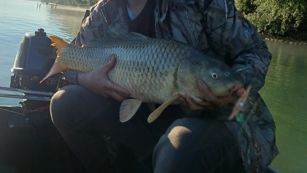 Gone fishing: Danube Delta Romania Edition // Pescuit din barca pe brațul Sf Gheorghe Delta Dunării 