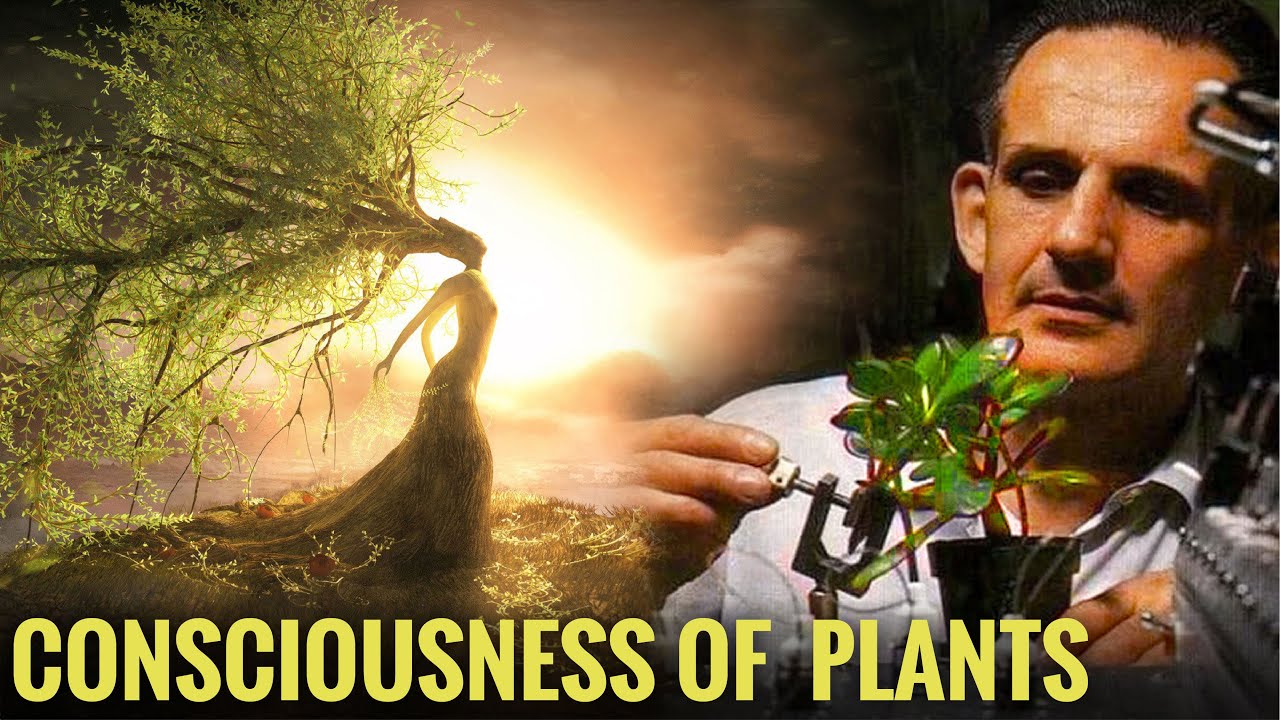 Amazing Experiments That Find Plants Even More Intelligent Than Previously Thought!