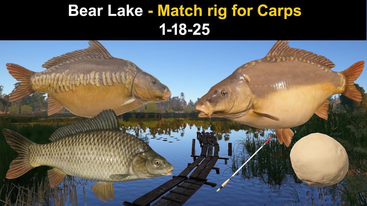 Russian Fishing 4, Bear Lake - Match rig for Carps   1-18-25
