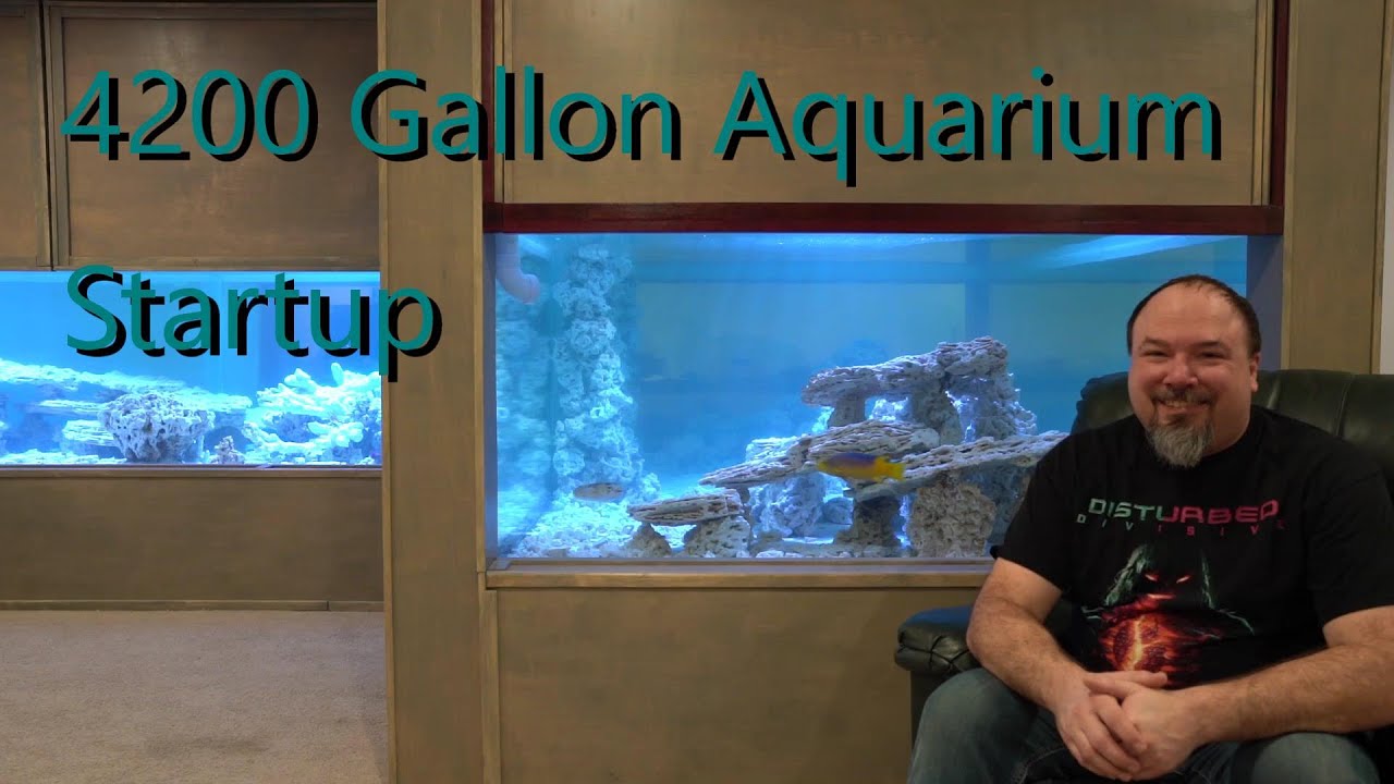 4200 Gallon Aquarium Startup