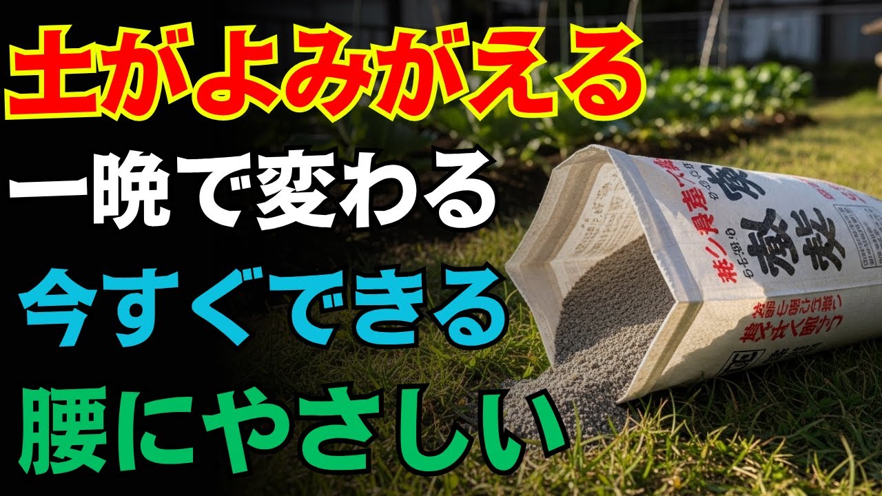 【驚きの方法】固い土でも1日でふかふか！翌日から植え付けできる土づくり
