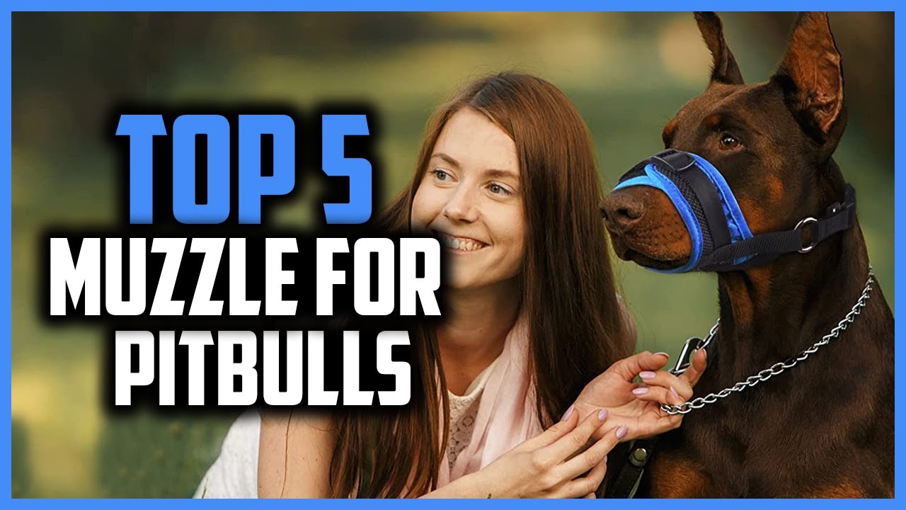 ✅ Top 5 Best Muzzle For Pitbulls of 2024