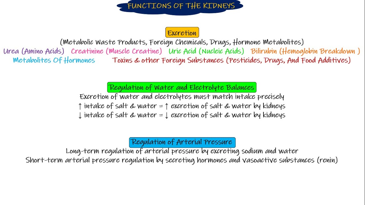 Functions of kidney. Chapter 26 part 1. Guyton and Hall Physiology.