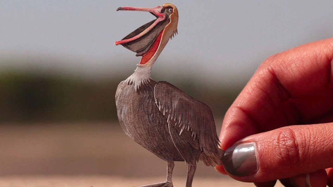 Amazing Melodious Voice of best birds | Mind-blowing singing sound ever #viral #Birds