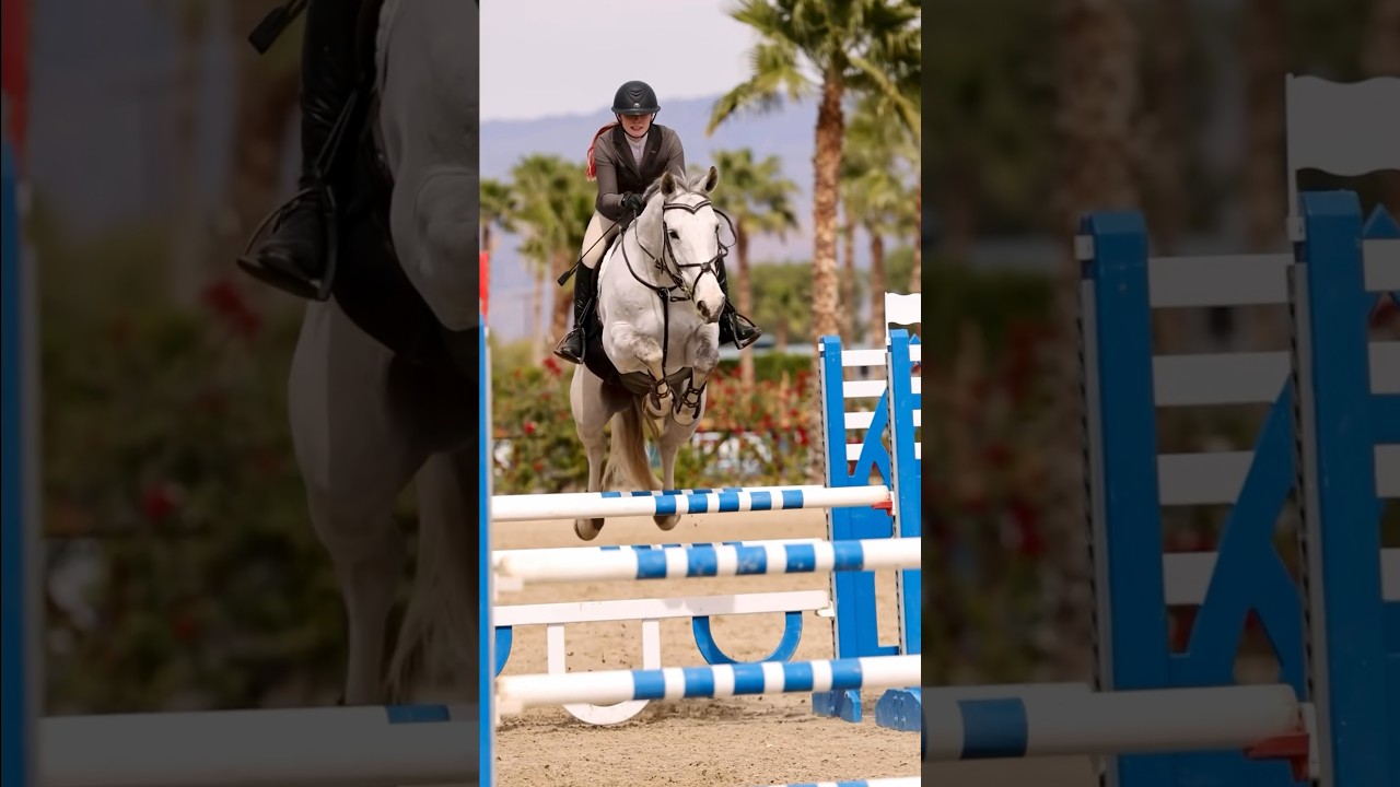 Never giving up!! #horse #equestrian #inspiration #fyp #viral #sound #explore #dreams #horsegirl