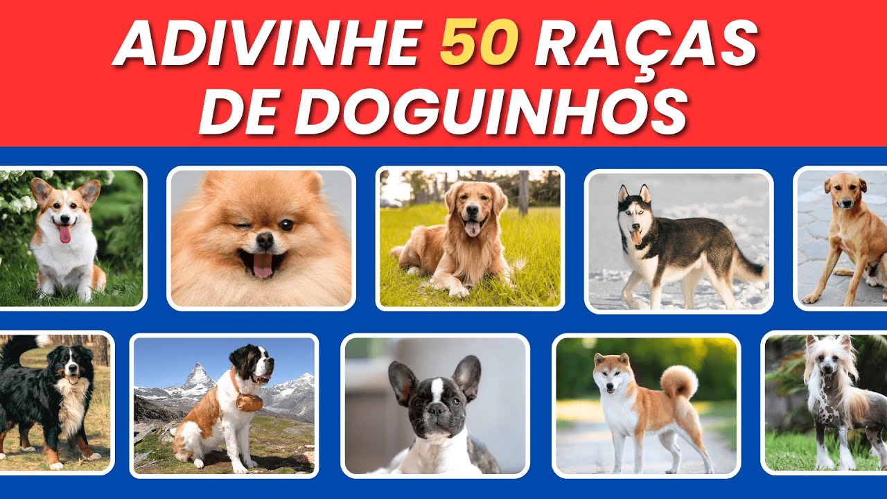 🐶 ADIVINHE A RAÇA DO CACHORRO | QUIZ ANIMAL | Teste seus conhecimentos 🐾