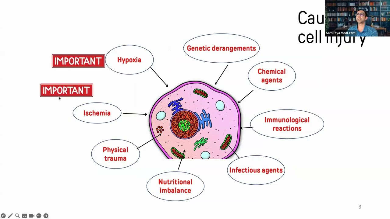 003 General Principles: Mechanism of Injury and Necrosis part 1