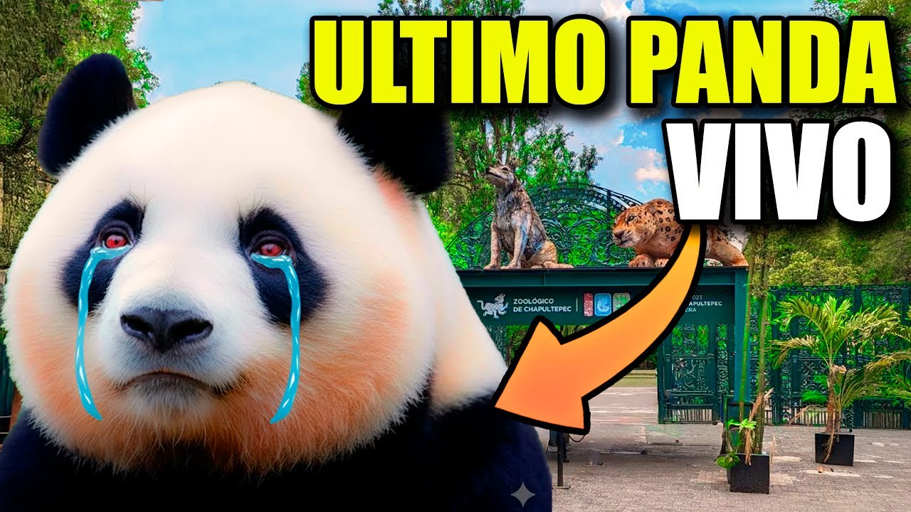 Tour ZOOLOGICO de CHAPULTEPEC buscando al ULTIMO PANDA MEXICANO