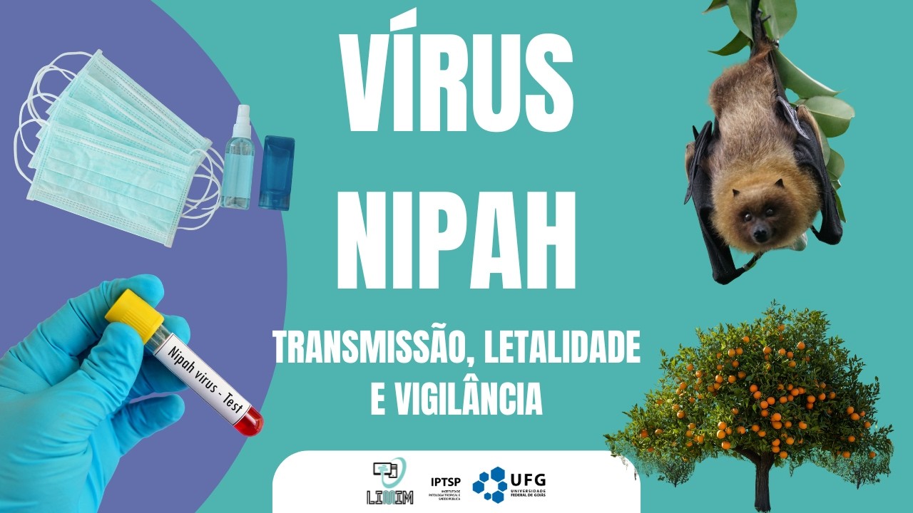 Vírus Nipah: o que é, quais os riscos e pode chegar ao Brasil?