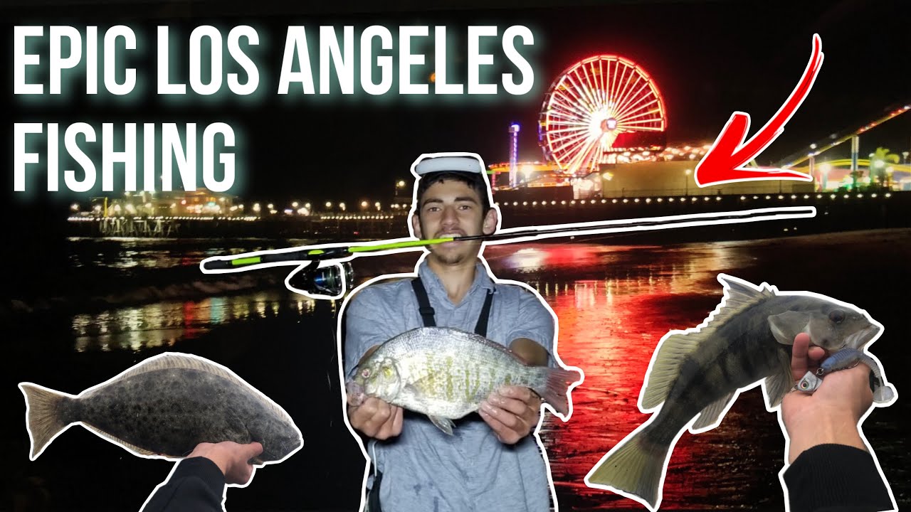 Los Angeles Pier and Surf Fishing! (Sand Bass, Halibut, Surf Perch, Croaker, Mackerel, Guitarfish!)