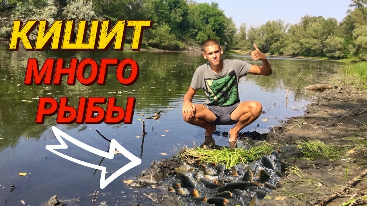 Ловушка для рыбы | Рыбы просто кишит