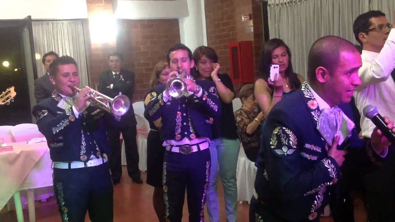 Serenata 15 años Johana (Salitre)
