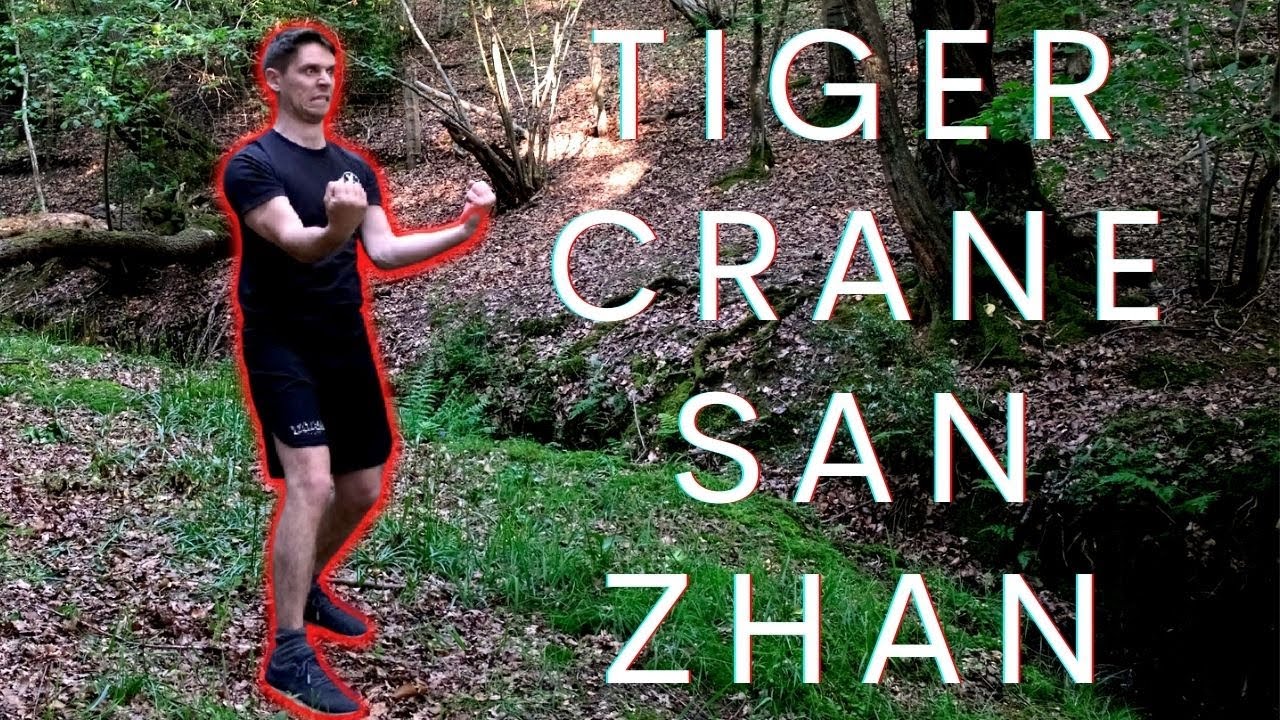 Tiger Crane Combination San Zhan 虎鹤双形拳三战