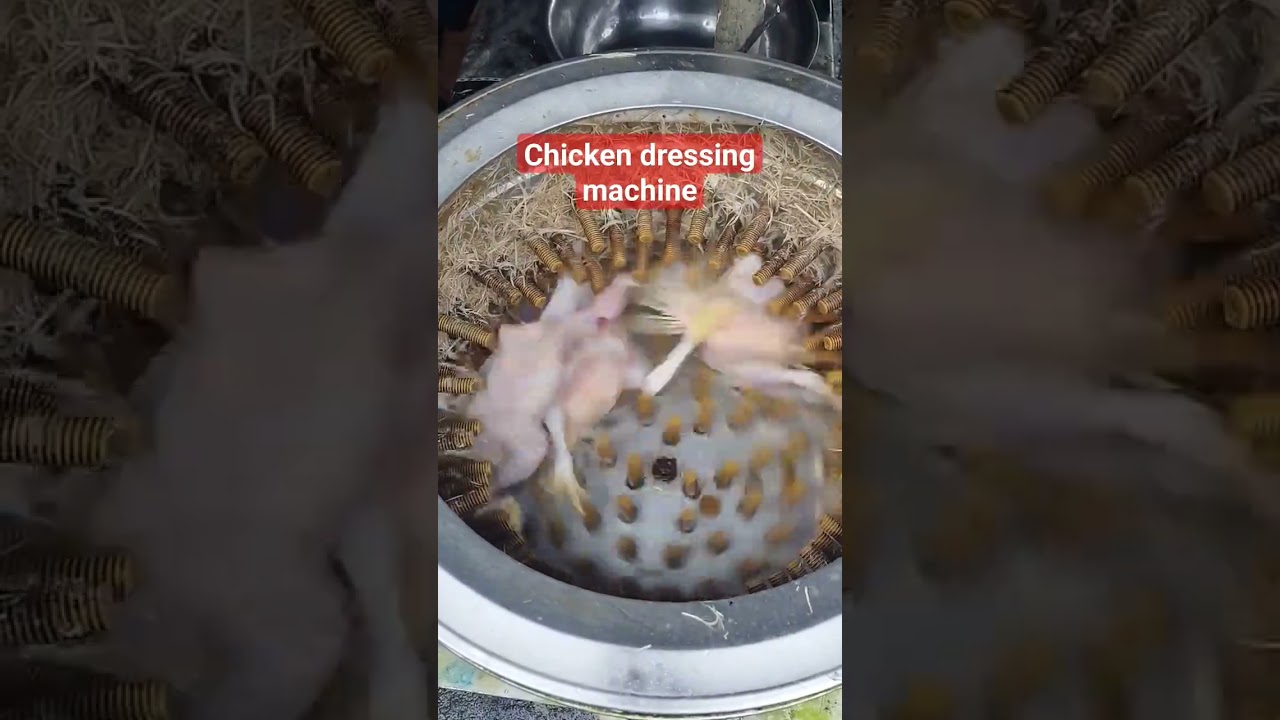 Chicken Dressing Machine