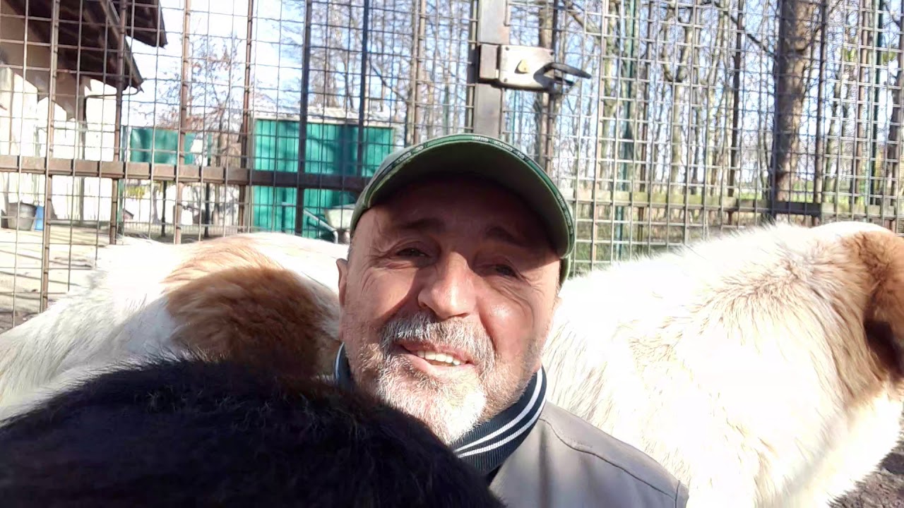 CANI DA GUARDIA: Lasciarli entrare in casa!