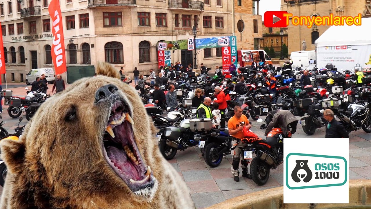 1000 km en moto. la prueba definitiva. Osos1000