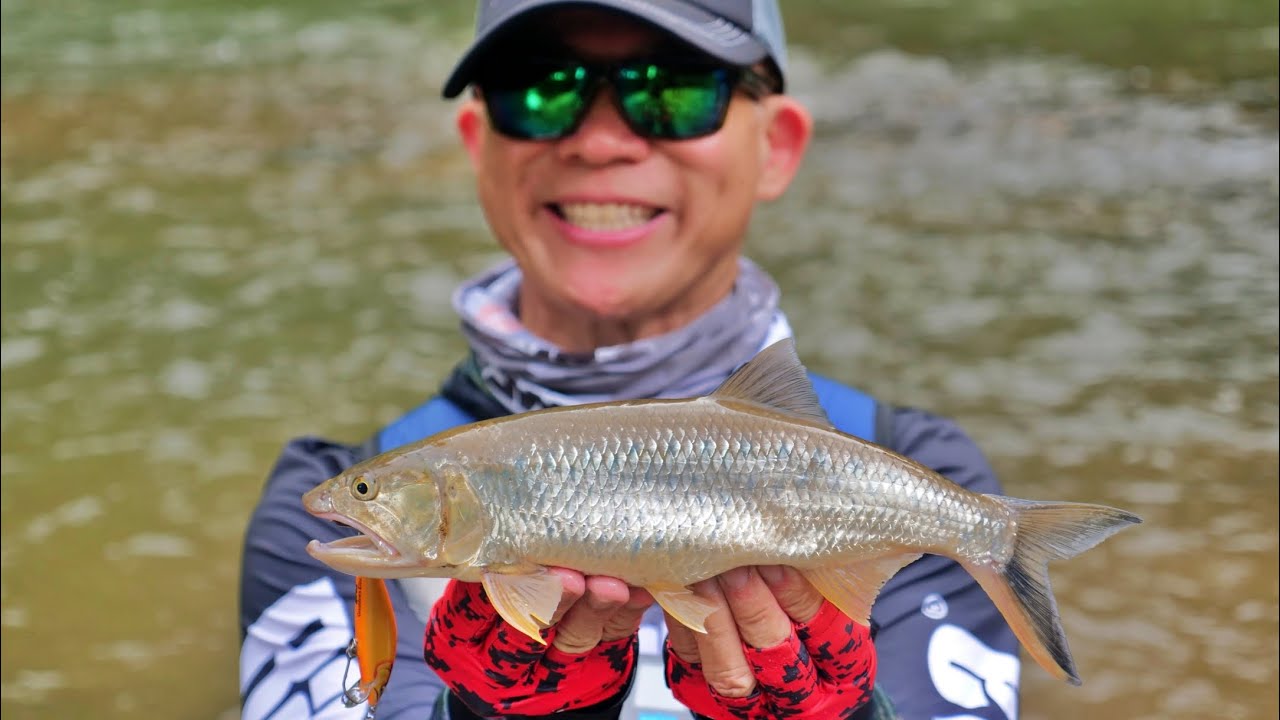 Fishing In Thailand For Burmese Trout