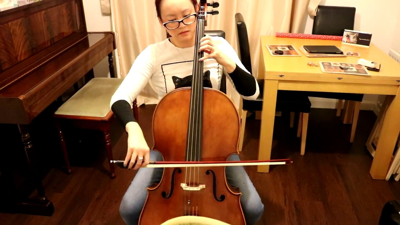 Cello Jargar C and G String Quick Test