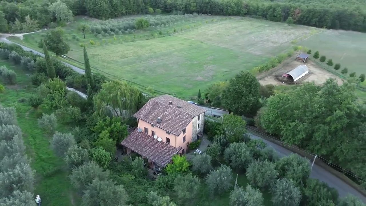 LGio