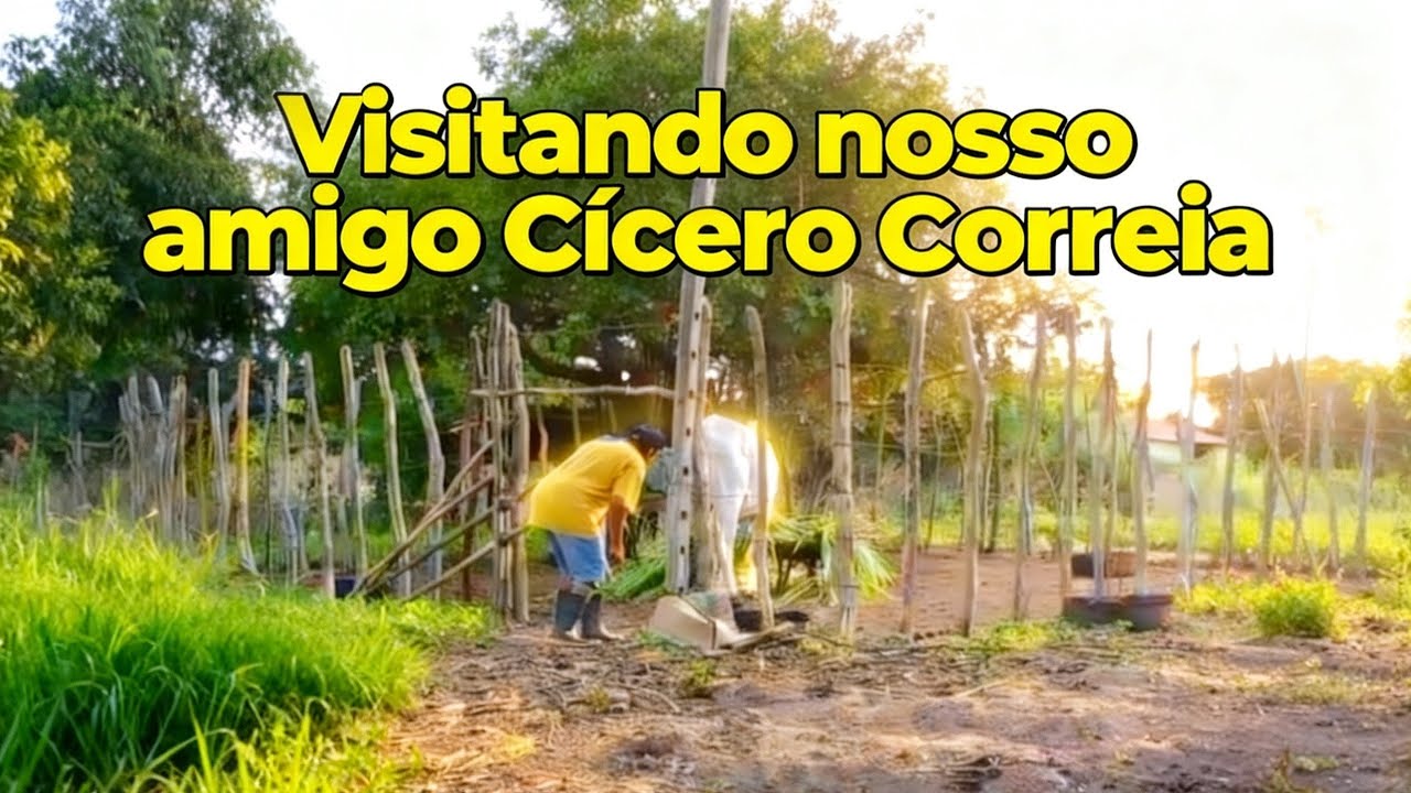 Conhecendo o sítio do nosso amigo Cícero Correia do canal Vale do Arabé. 