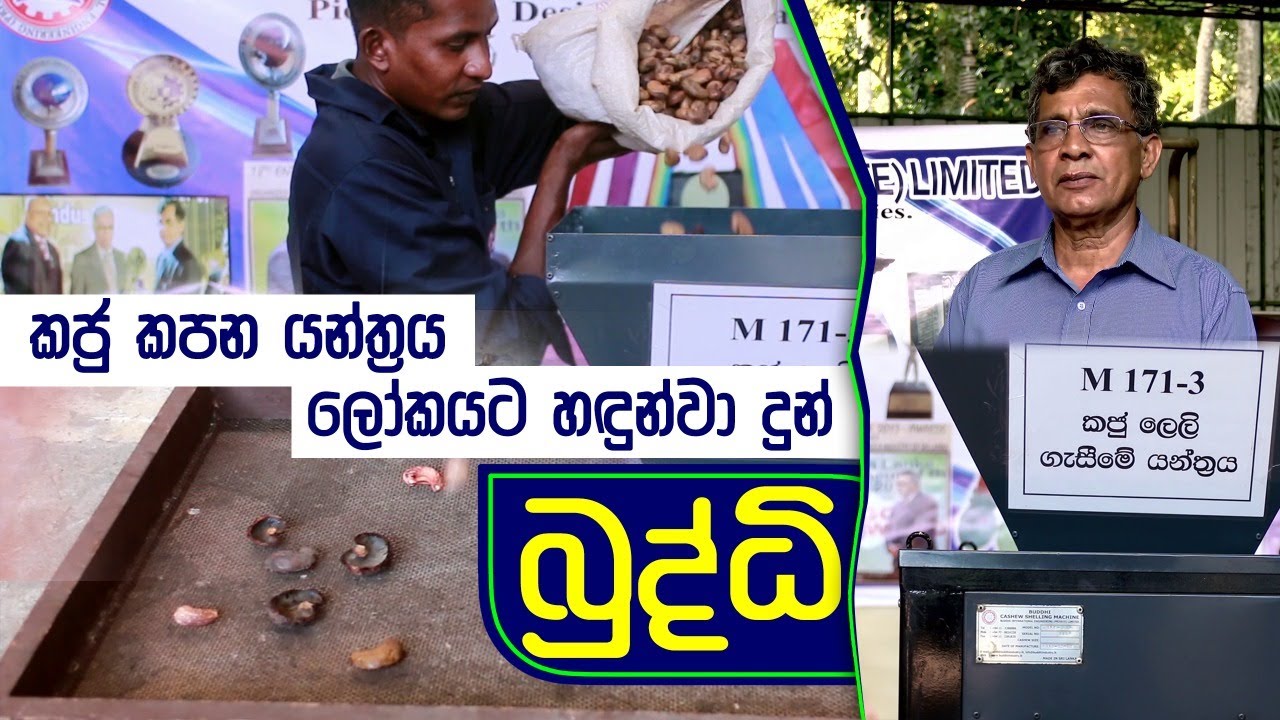 කජු කපන යන්ත්‍රය ලෝකයට හඳුන්වා දුන් බුද්ධි