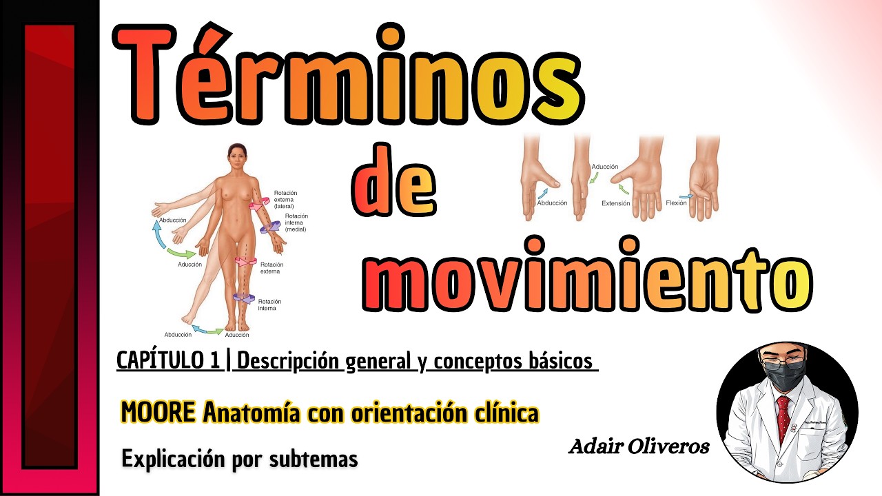 Términos de movimiento | MOORE Anatomía con orientación clínica 