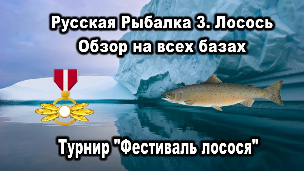 РР3. Лосось. Обзор на всех базах. Турнир 