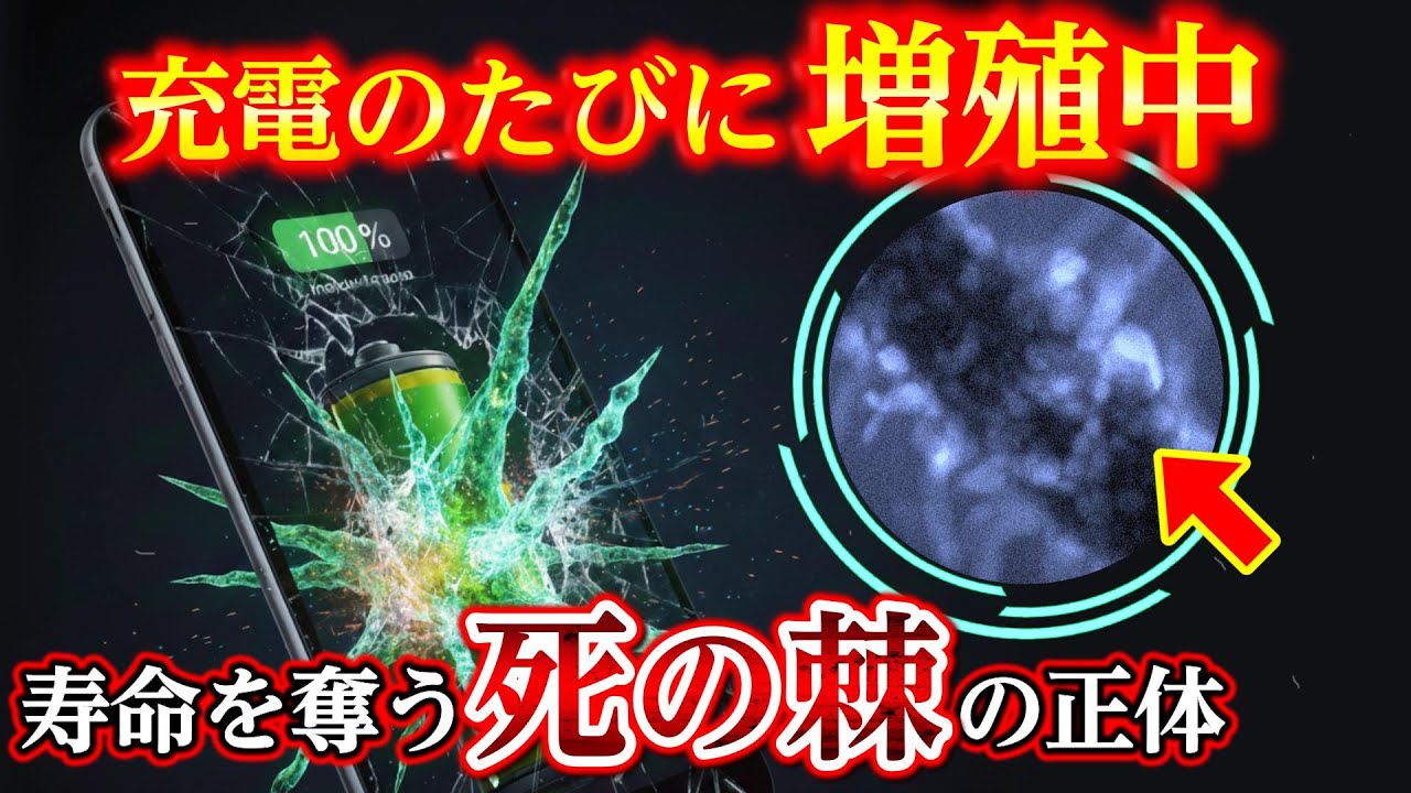 【閲覧注意】スマホ充電で「棘」が繁殖！？電子顕微鏡が暴いたバッテリー劣化の正体
