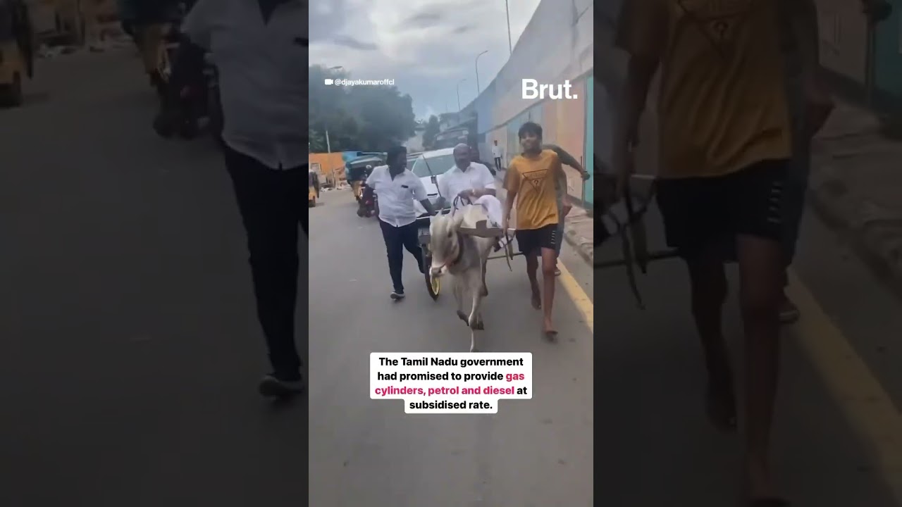 What prompted this AIADMK leader's unusual mode of transportation? Watch to know&hellip; 👀