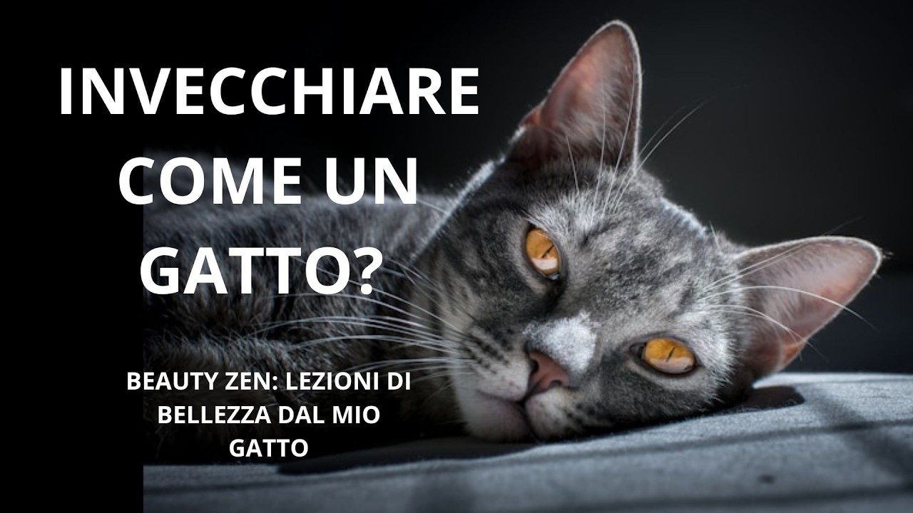 Invecchiare come un gatto? Lezioni di bellezza dal mio gatto