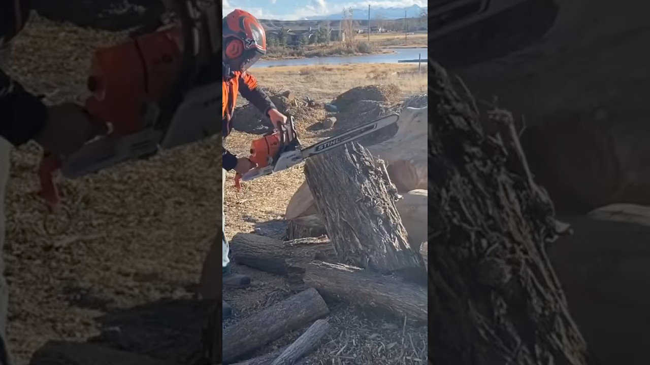 Stock Stihl MS462C w/ 25&rdquo; light bar cutting 18&rdquo; cottonwood log #stihl #stihlchainsaw #tools