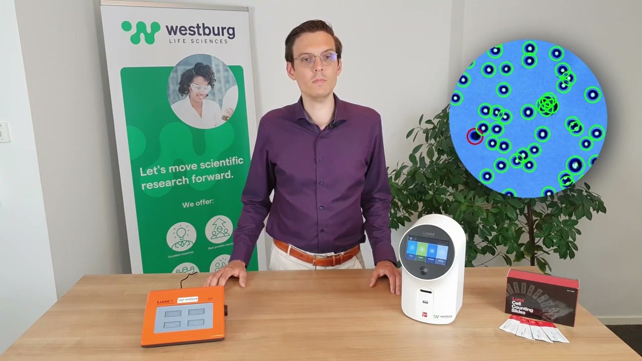 Automated cell counting with cell-counter Luna II and FL, Vincent of Westburg shows you the benefits