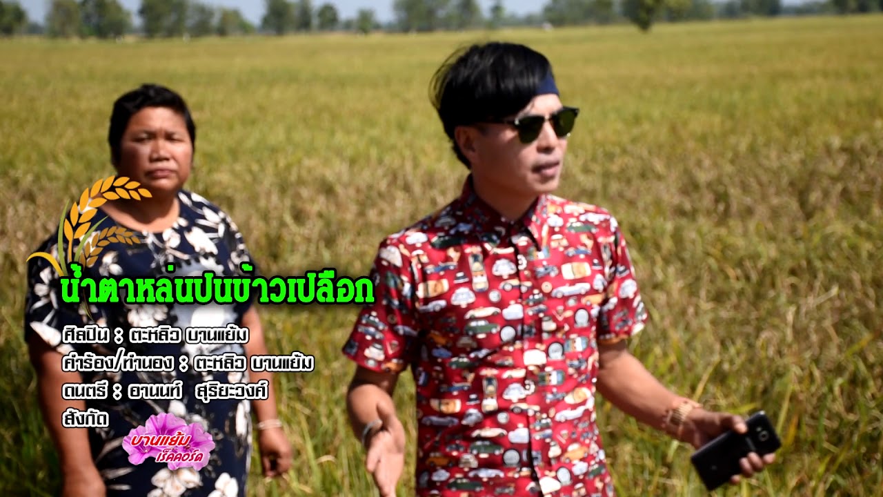 น้ำตาหล่น ปนข้าวเปลือก  ตะหลิว บานแย้ม