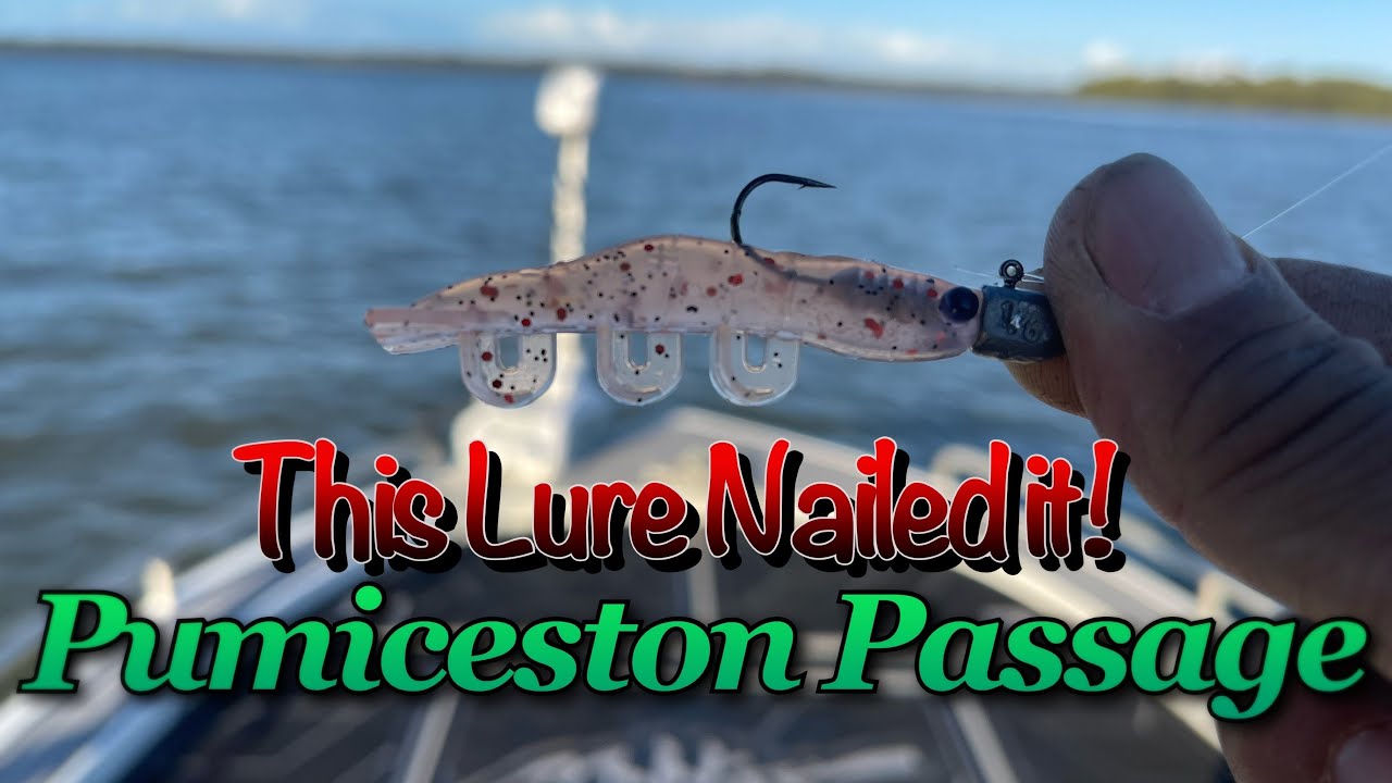 First Time Fishing Pumicestone Passage