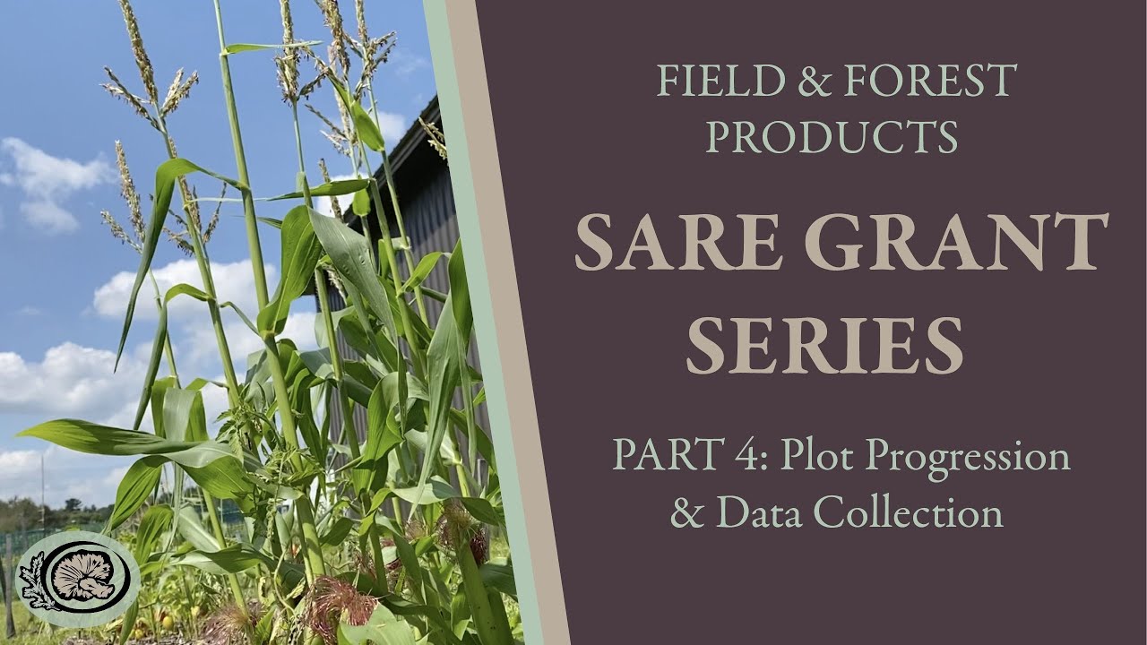 SARE Series Part IV: Plot Progression and Data Collection