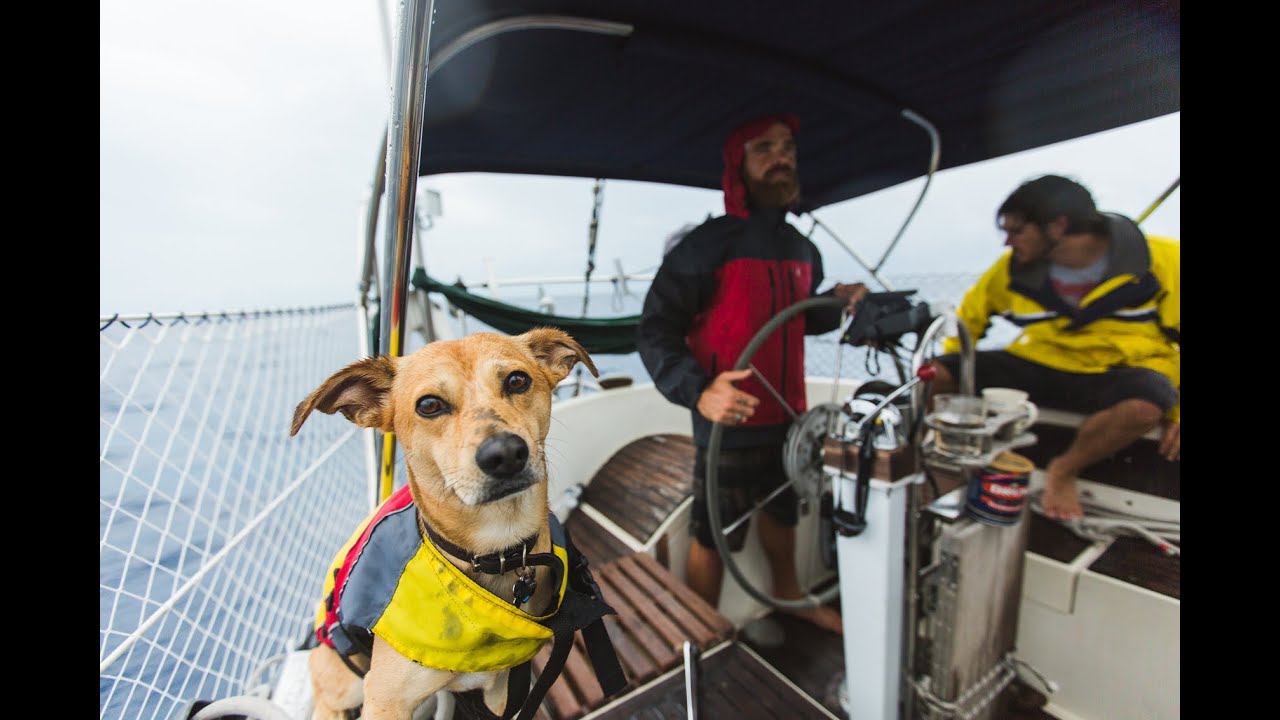 3 Guys and a Dog Sail to Belize (Sea Change - Chapter 1)