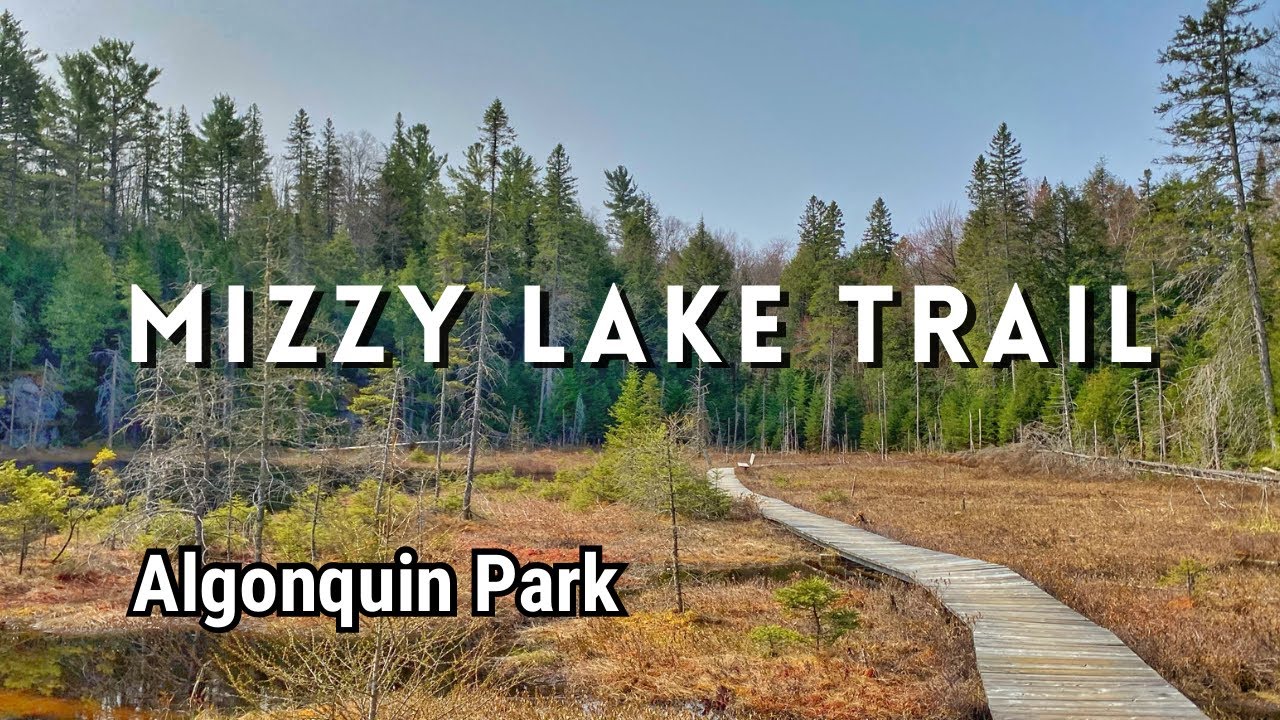 Mizzy Lake Trail, Highway 60, Algonquin Park (Entire Trail)